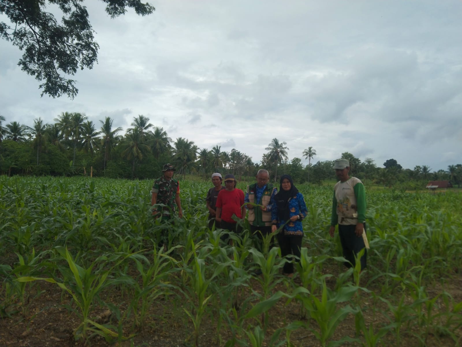 IMG-20260715-WA0031