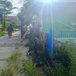 IMG-20260728-WA0011